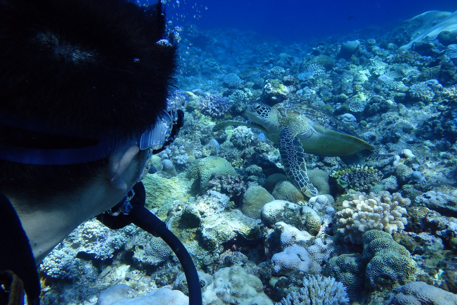 レビュアーのカバー画像