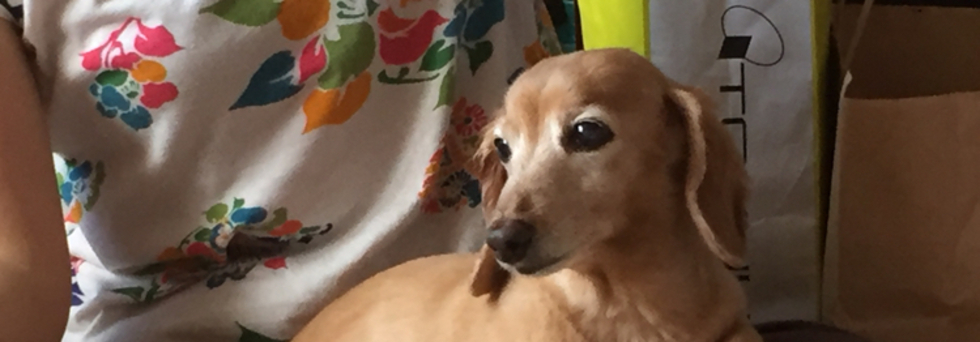 レビュアーのカバー画像