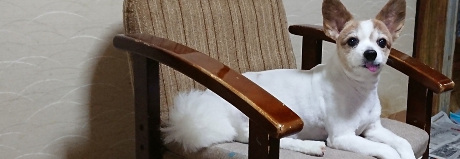 レビュアーのカバー画像