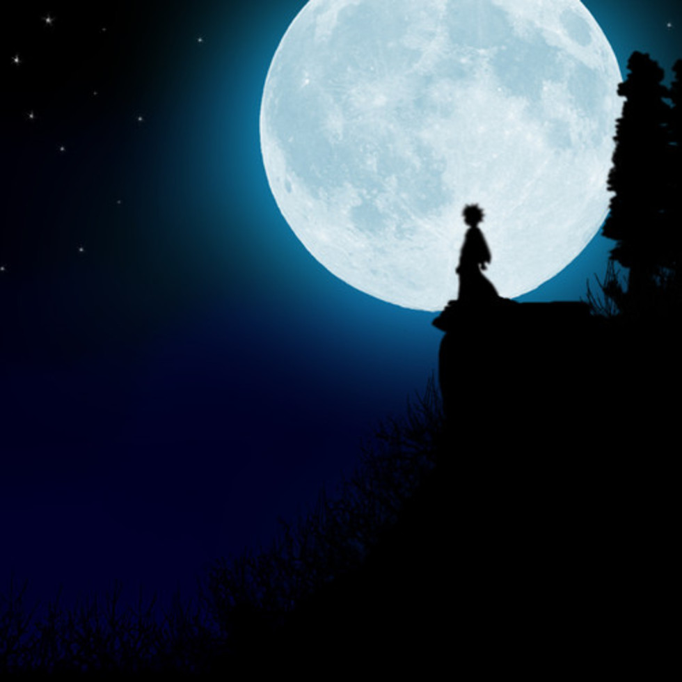 レビュアーのカバー画像