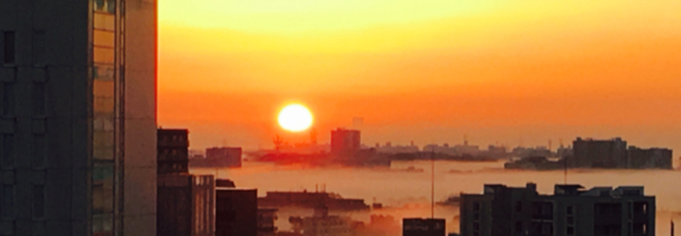 レビュアーのカバー画像