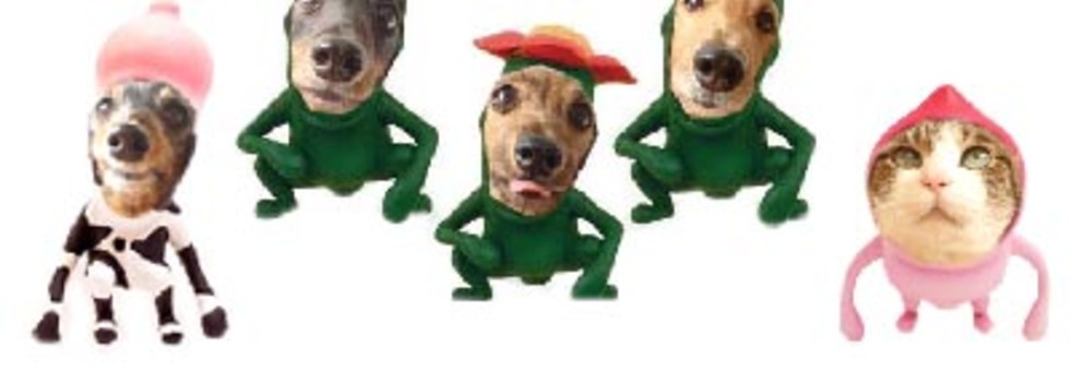 レビュアーのカバー画像