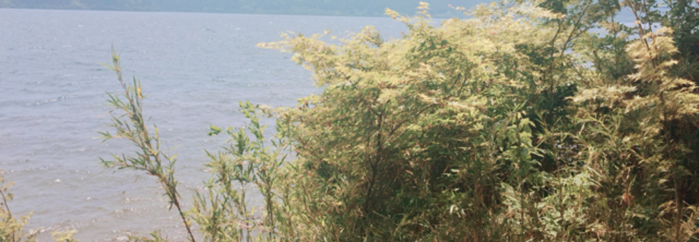 レビュアーのカバー画像