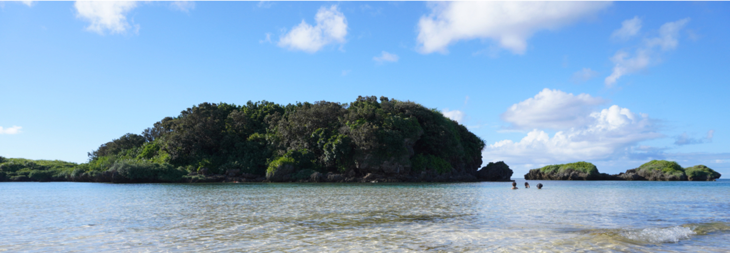 レビュアーのカバー画像