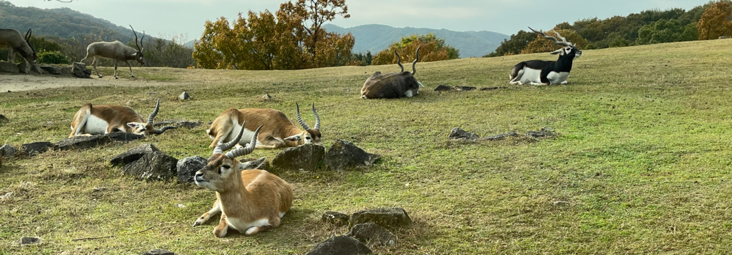 レビュアーのカバー画像