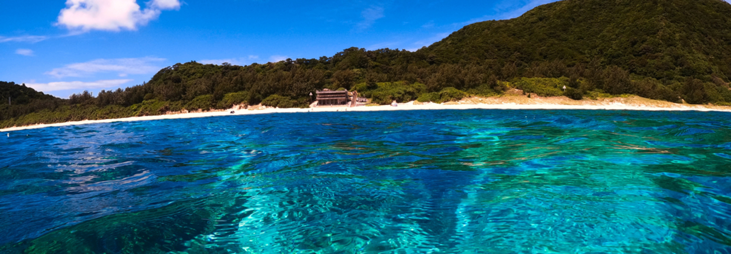 レビュアーのカバー画像