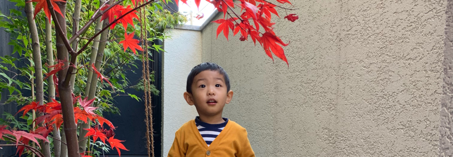 レビュアーのカバー画像