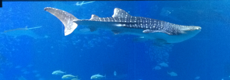 レビュアーのカバー画像