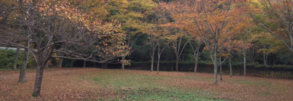 Bateさんが投稿したビールとハイライト 滋賀 甲西 の口コミ詳細 食べログ