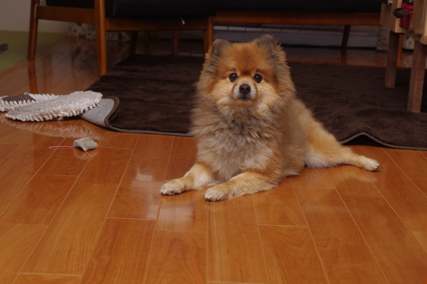 レビュアーのカバー画像