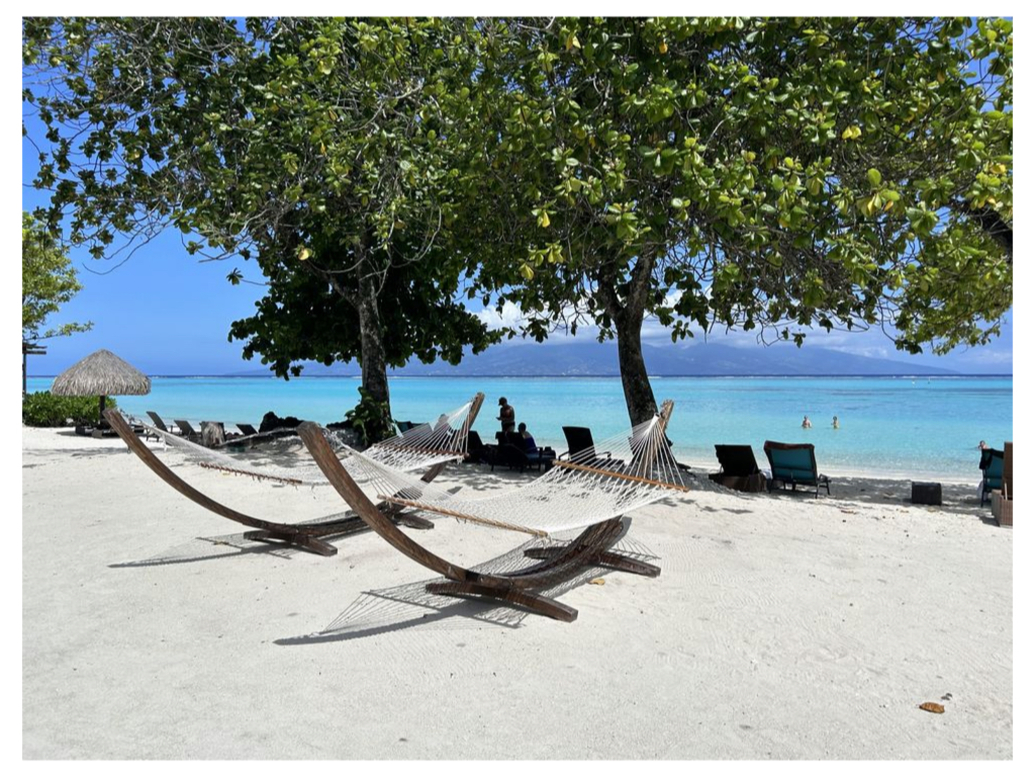 レビュアーのカバー画像