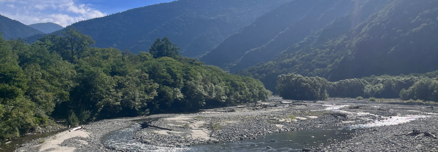 レビュアーのカバー画像