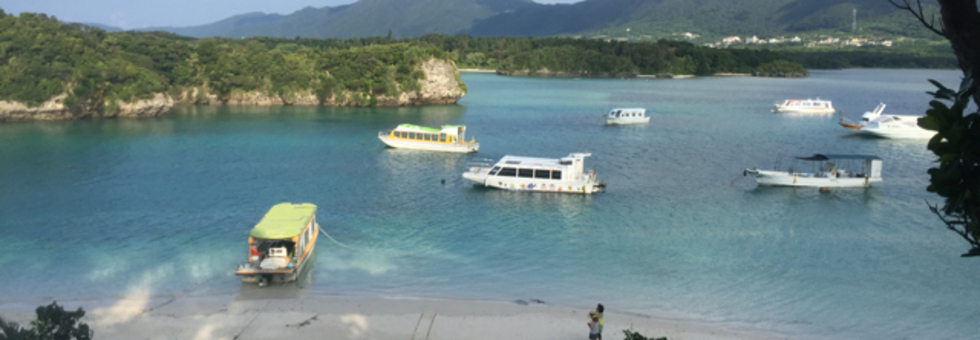 レビュアーのカバー画像