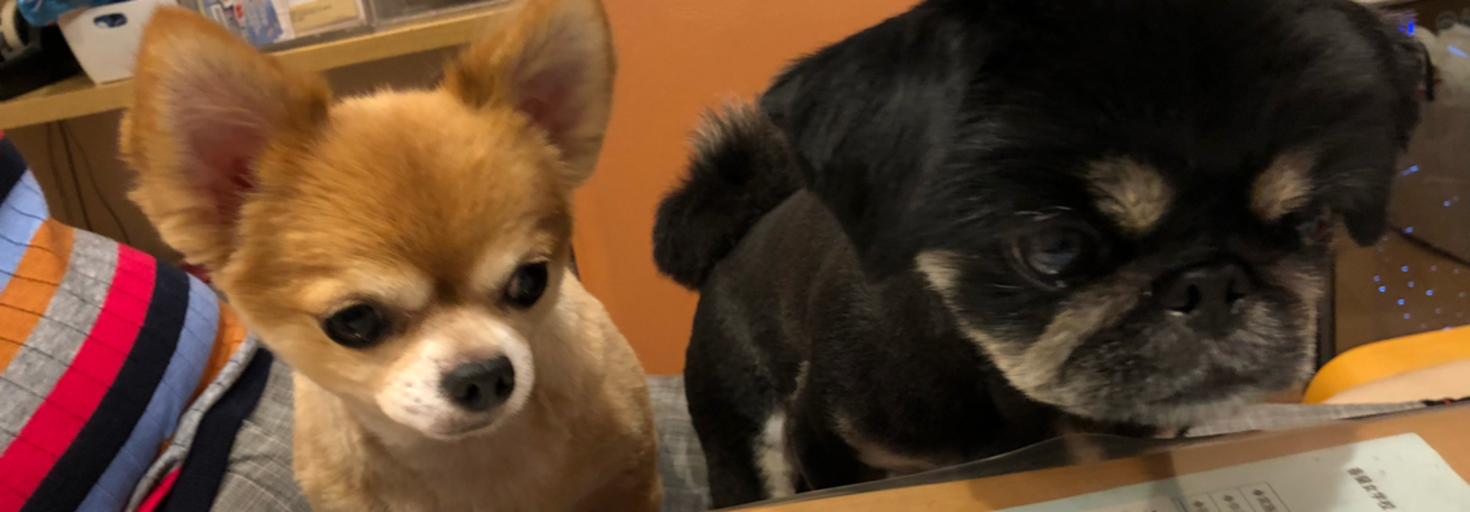 レビュアーのカバー画像