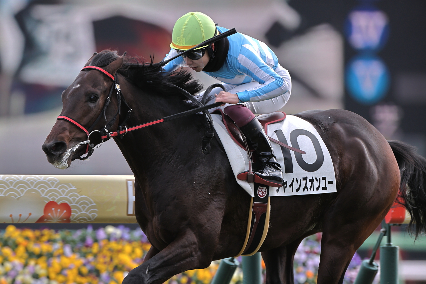 レビュアーのカバー画像