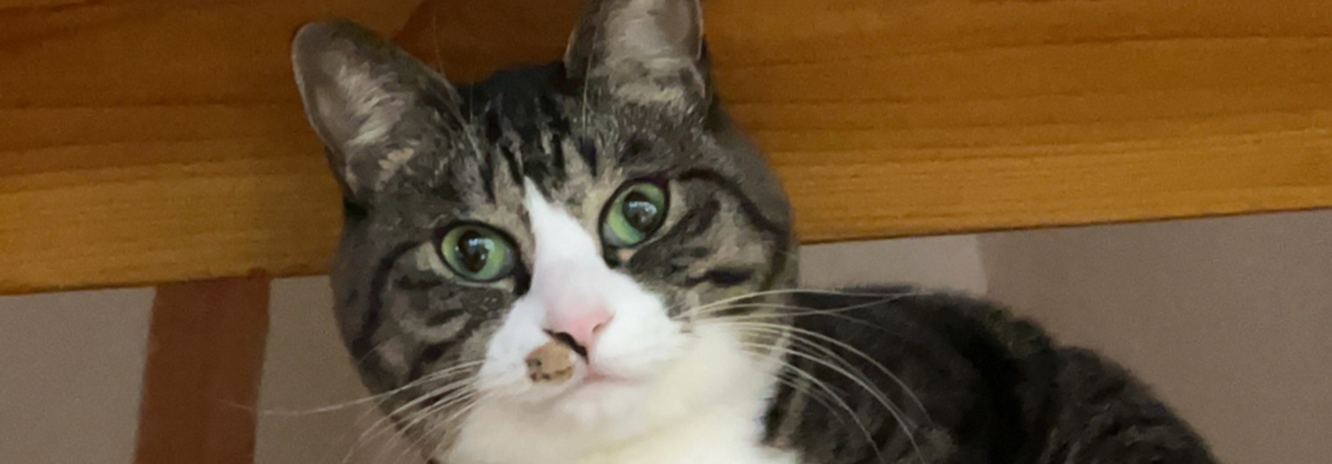 レビュアーのカバー画像