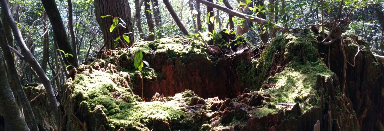 レビュアーのカバー画像