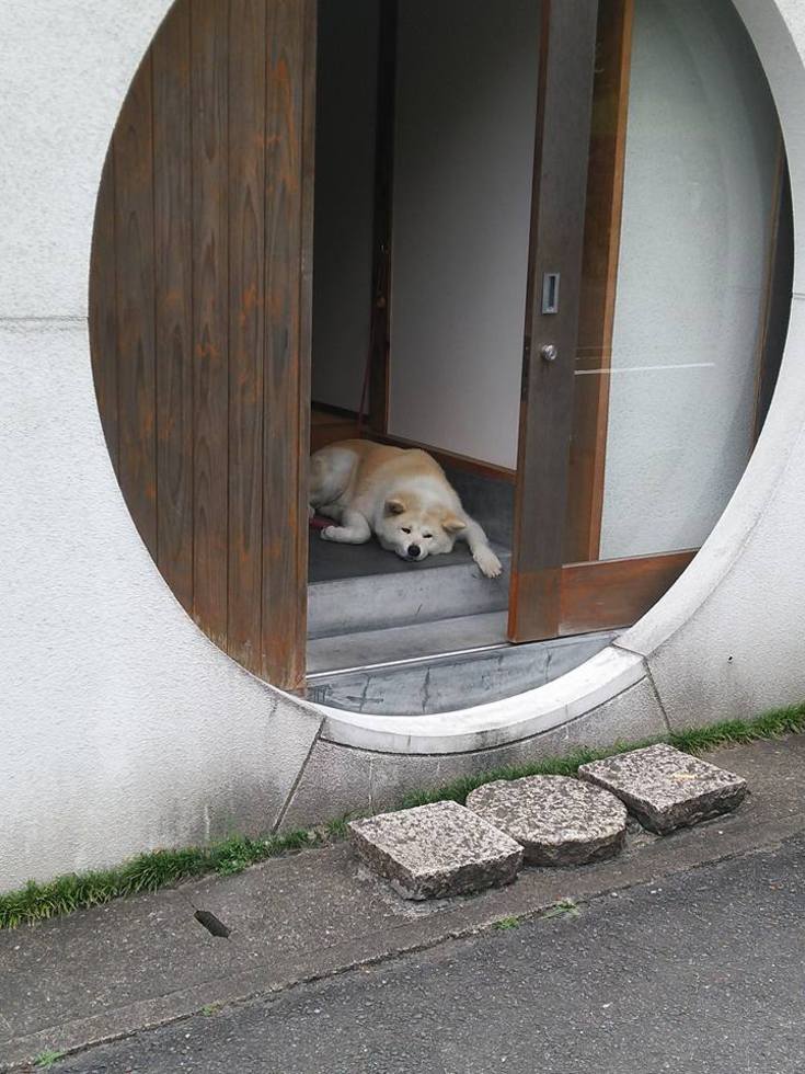 レビュアーのカバー画像