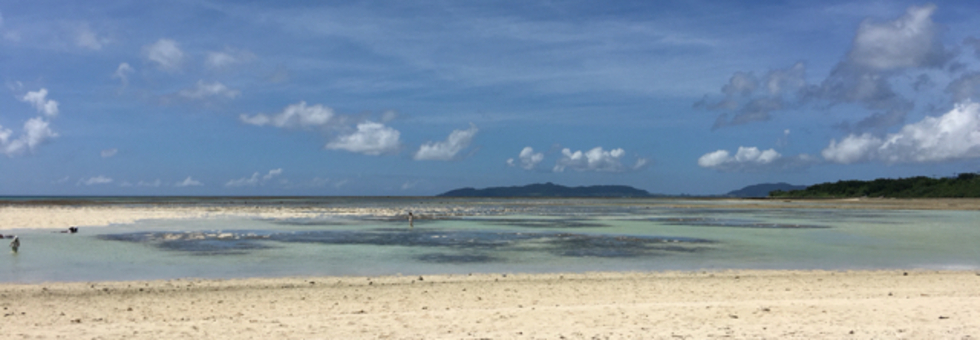 レビュアーのカバー画像