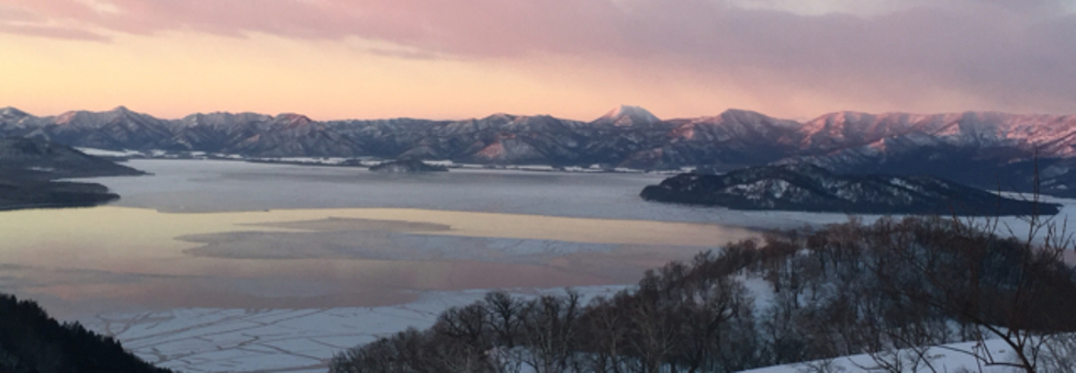 レビュアーのカバー画像