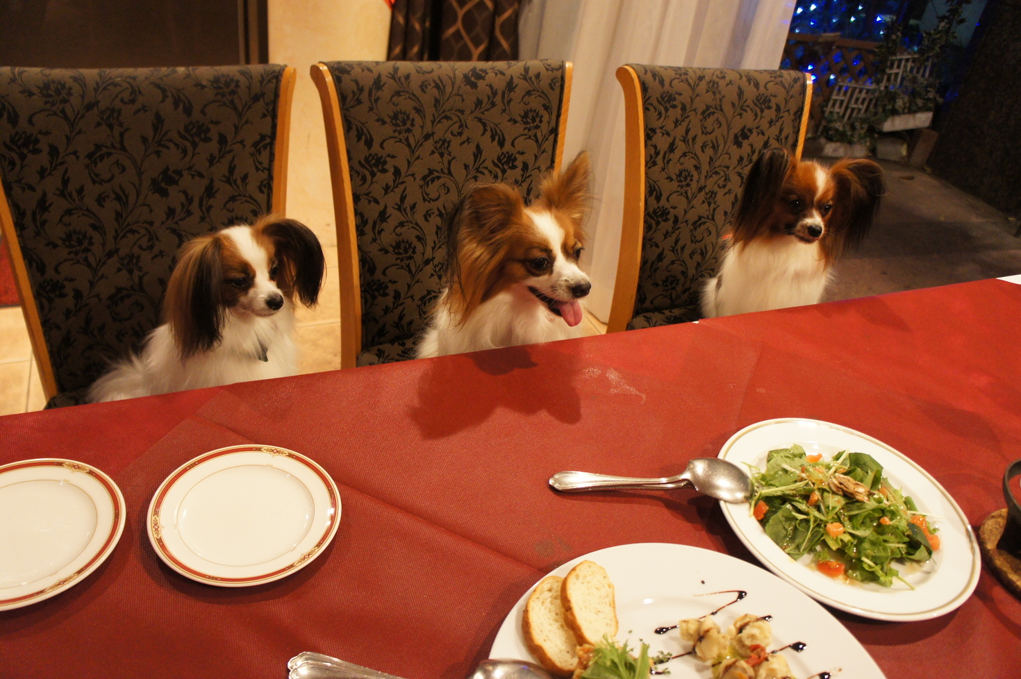 レビュアーのカバー画像