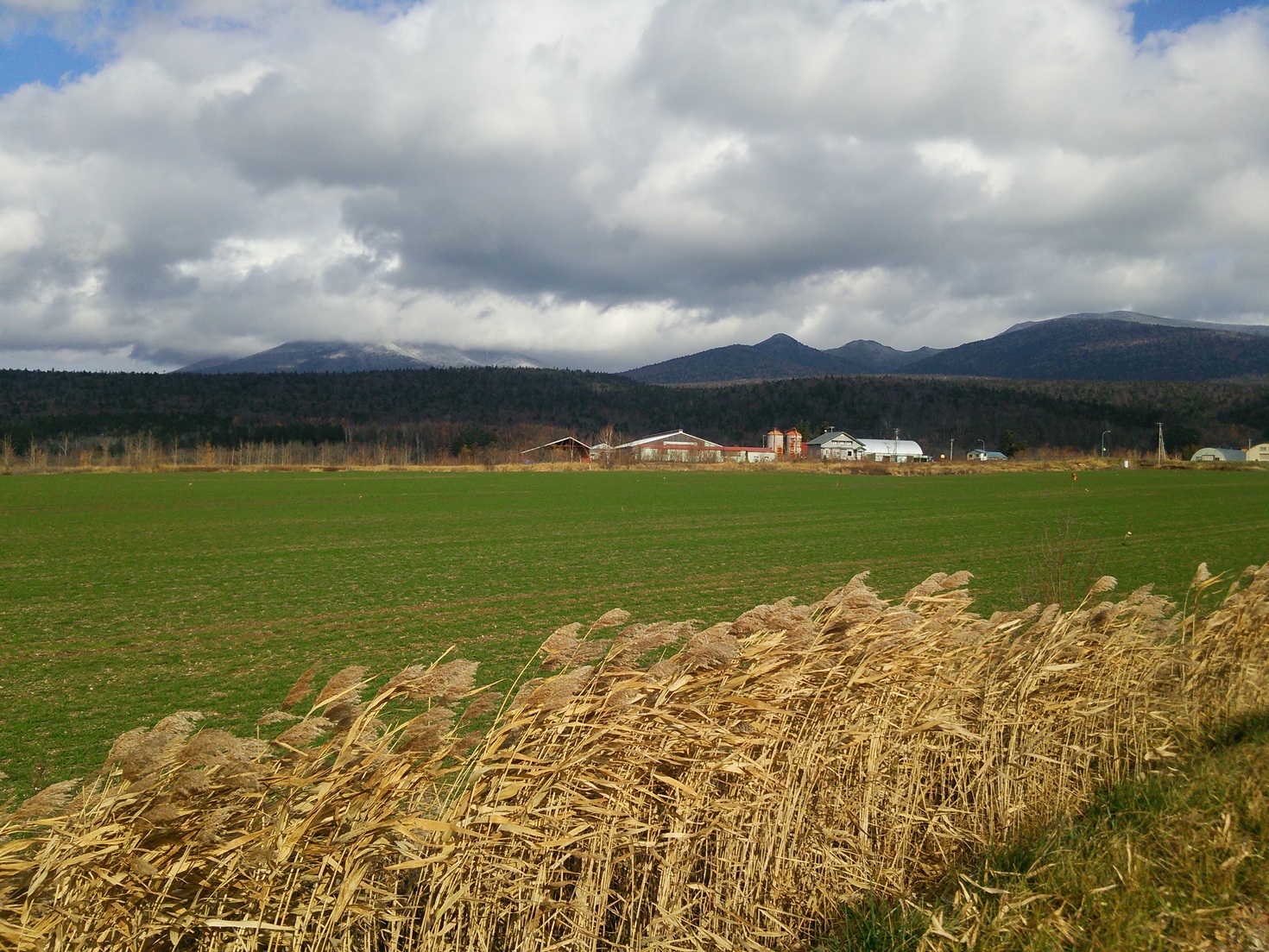 レビュアーのカバー画像