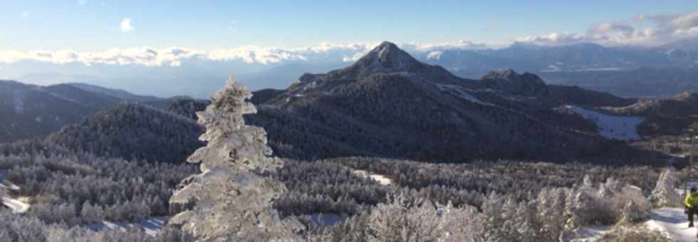 レビュアーのカバー画像