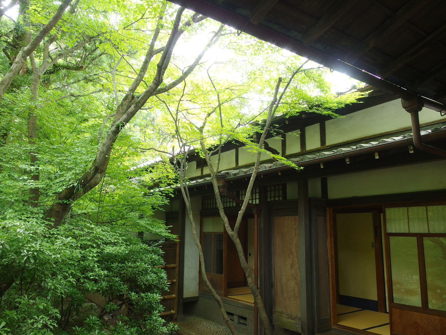 レビュアーのカバー画像