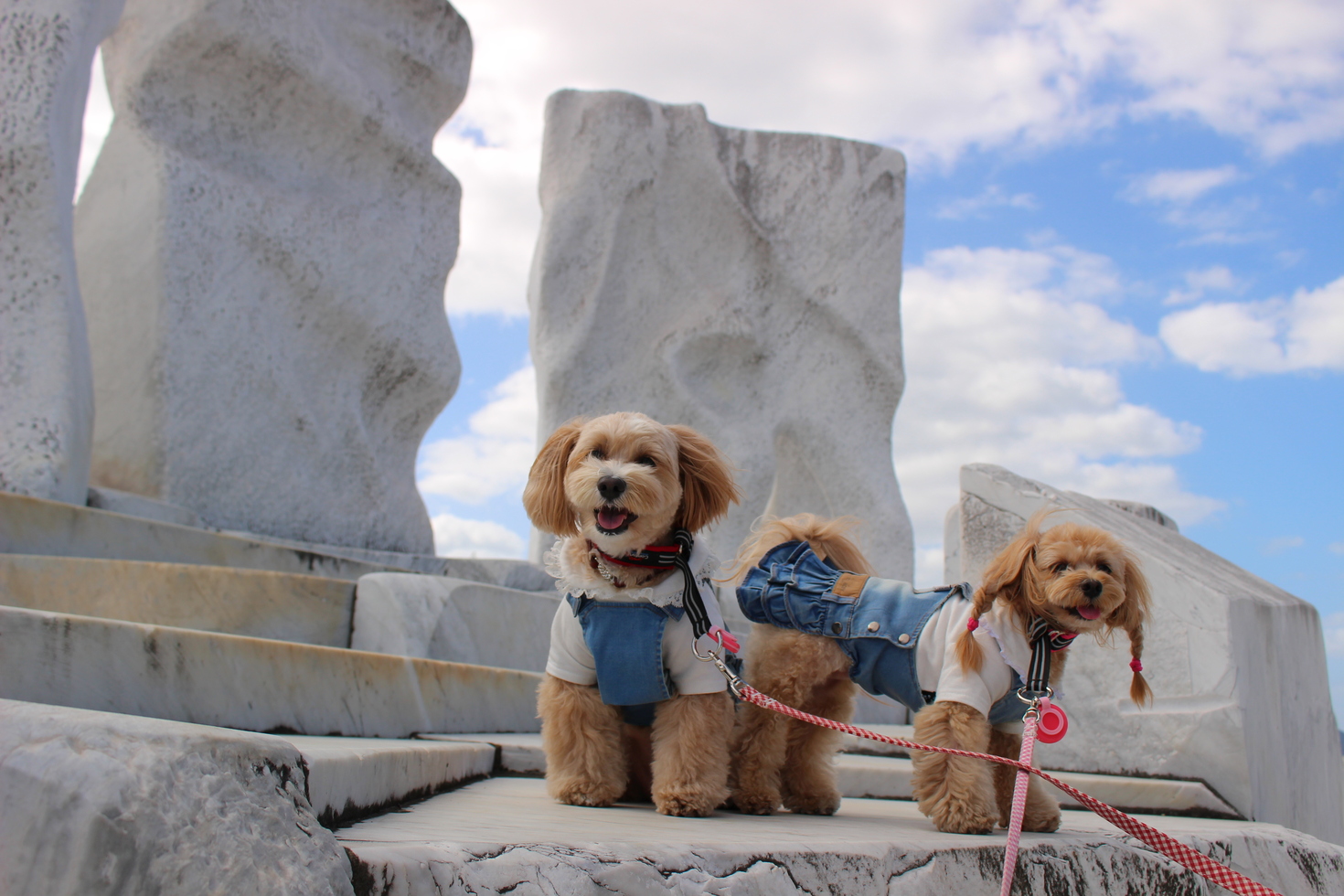 レビュアーのカバー画像