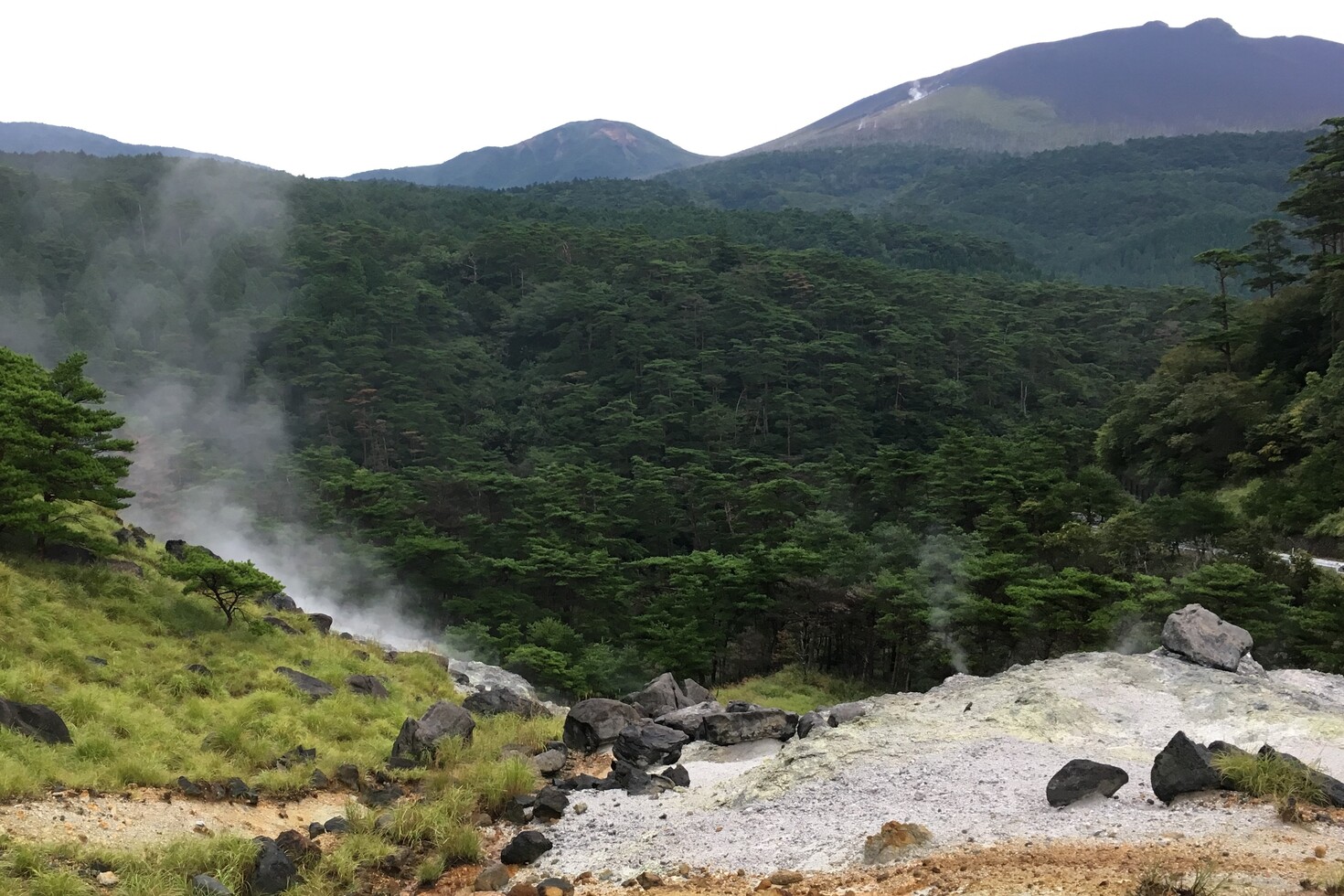 レビュアーのカバー画像