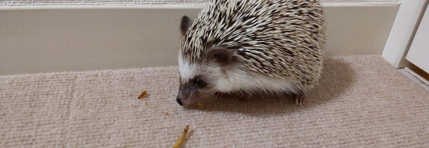 レビュアーのカバー画像