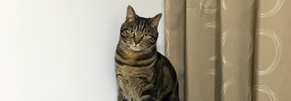 レビュアーのカバー画像