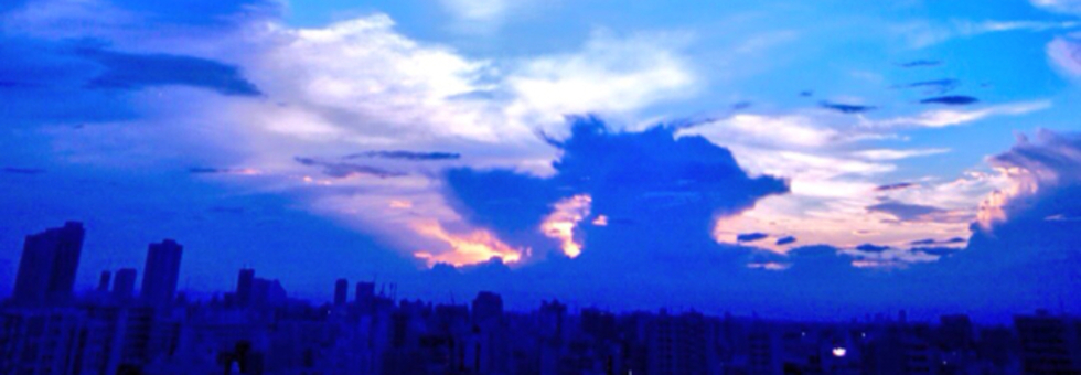 レビュアーのカバー画像