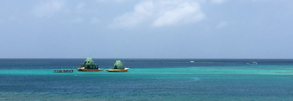 レビュアーのカバー画像