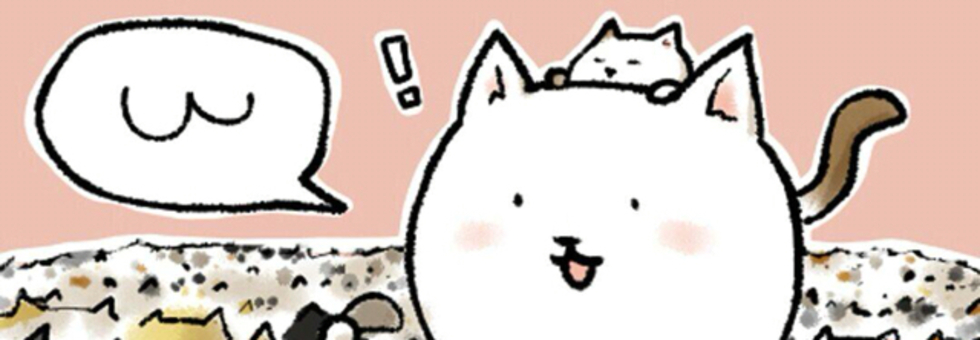 レビュアーのカバー画像