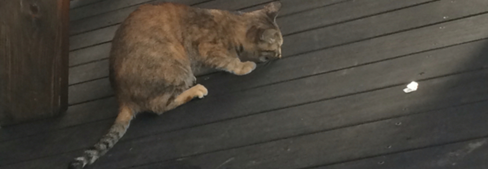 レビュアーのカバー画像