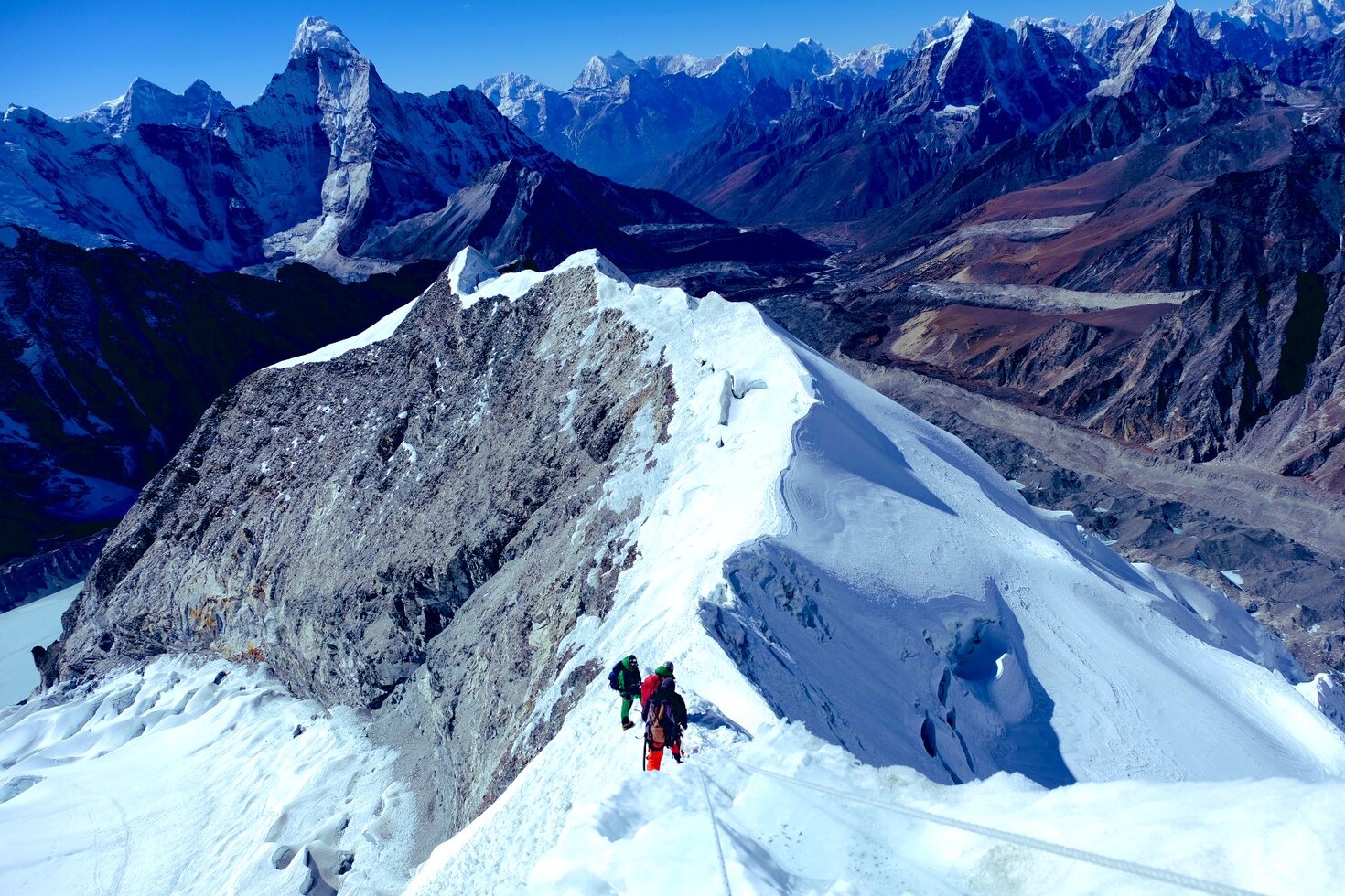レビュアーのカバー画像