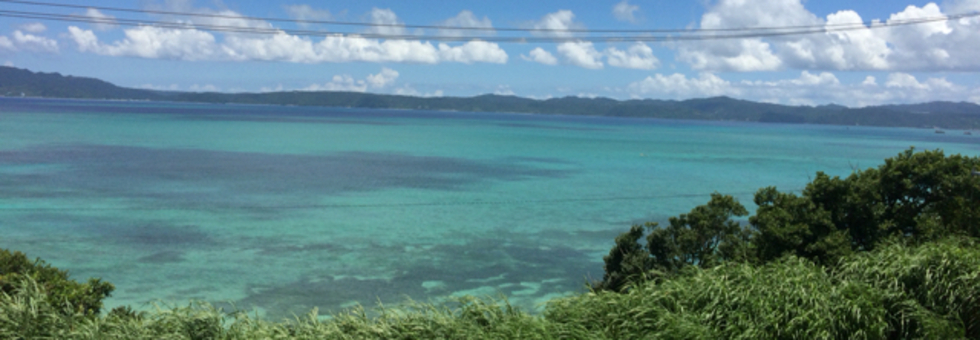 レビュアーのカバー画像