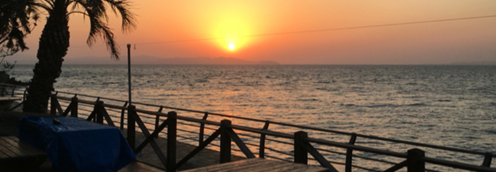 レビュアーのカバー画像