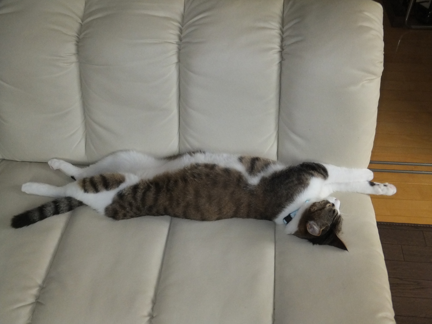 レビュアーのカバー画像