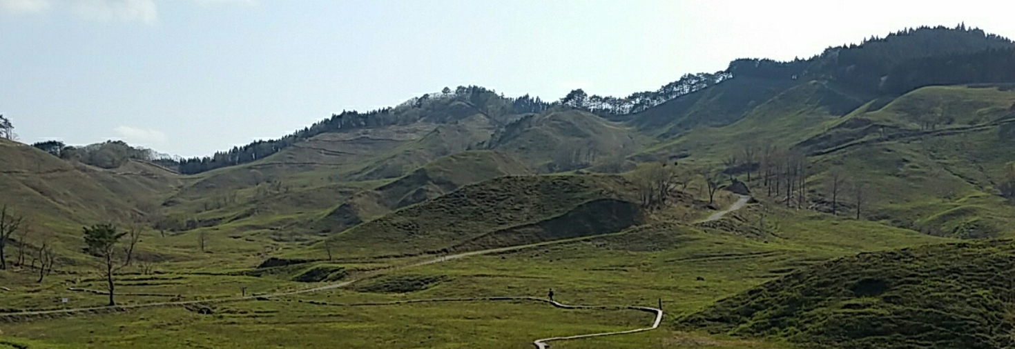 レビュアーのカバー画像