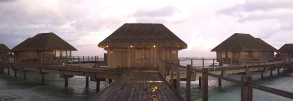 レビュアーのカバー画像