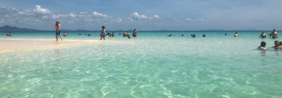 レビュアーのカバー画像