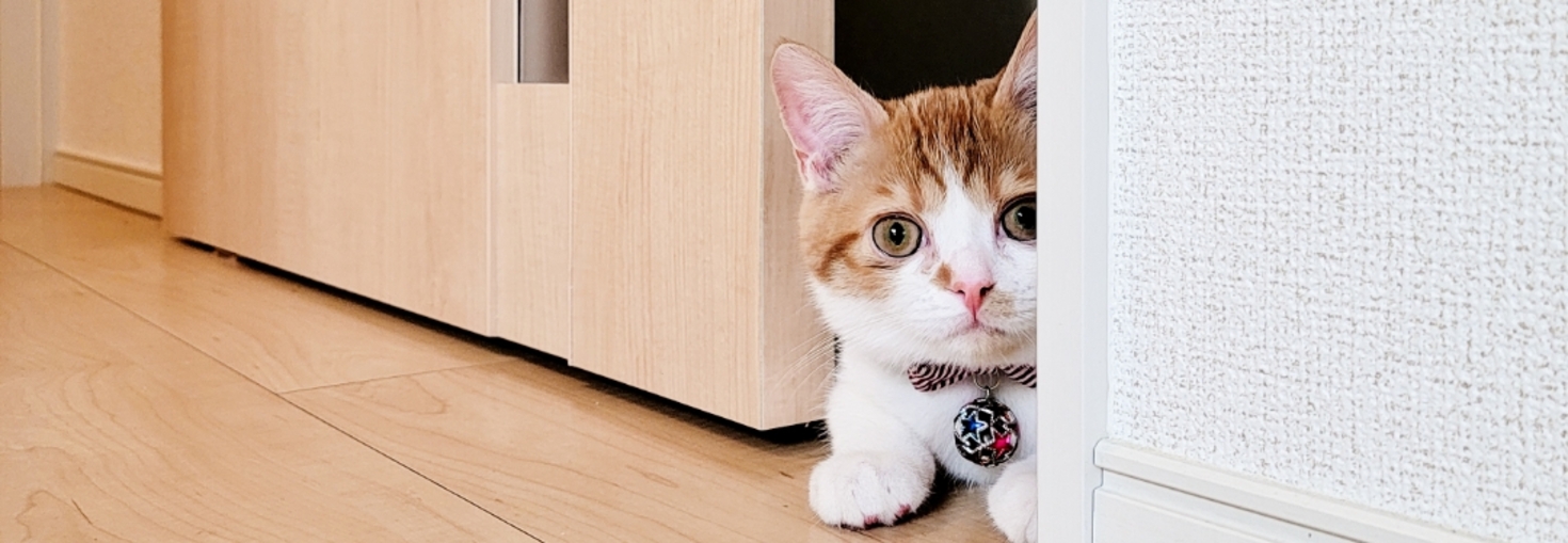 レビュアーのカバー画像