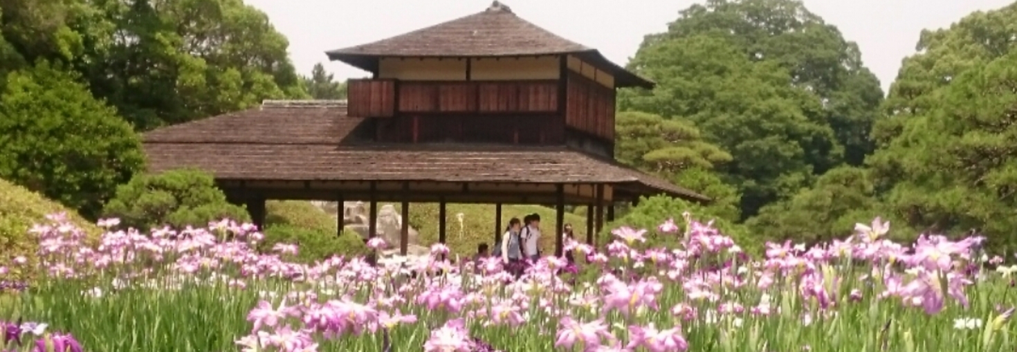 レビュアーのカバー画像