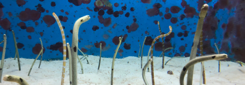 レビュアーのカバー画像