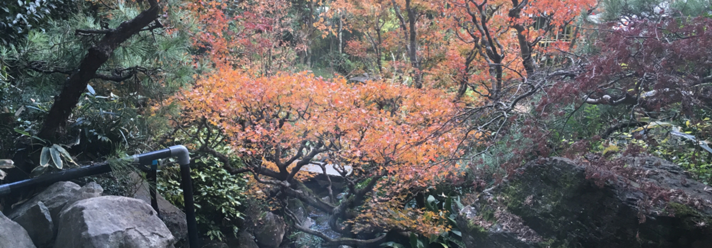 レビュアーのカバー画像