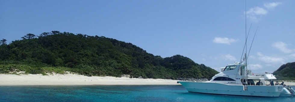 レビュアーのカバー画像