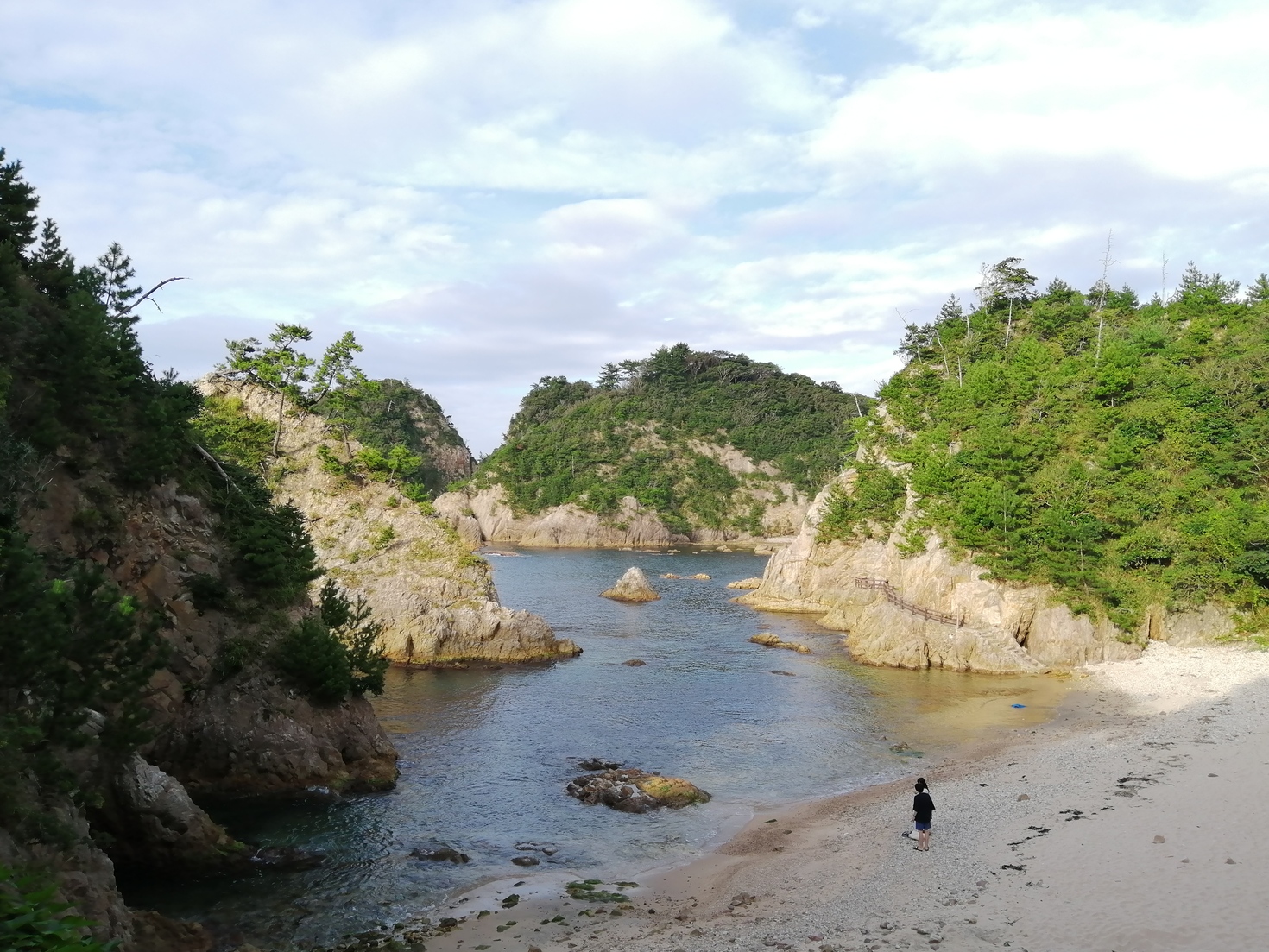 レビュアーのカバー画像