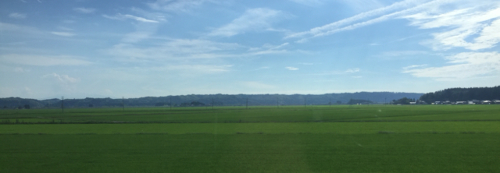 レビュアーのカバー画像